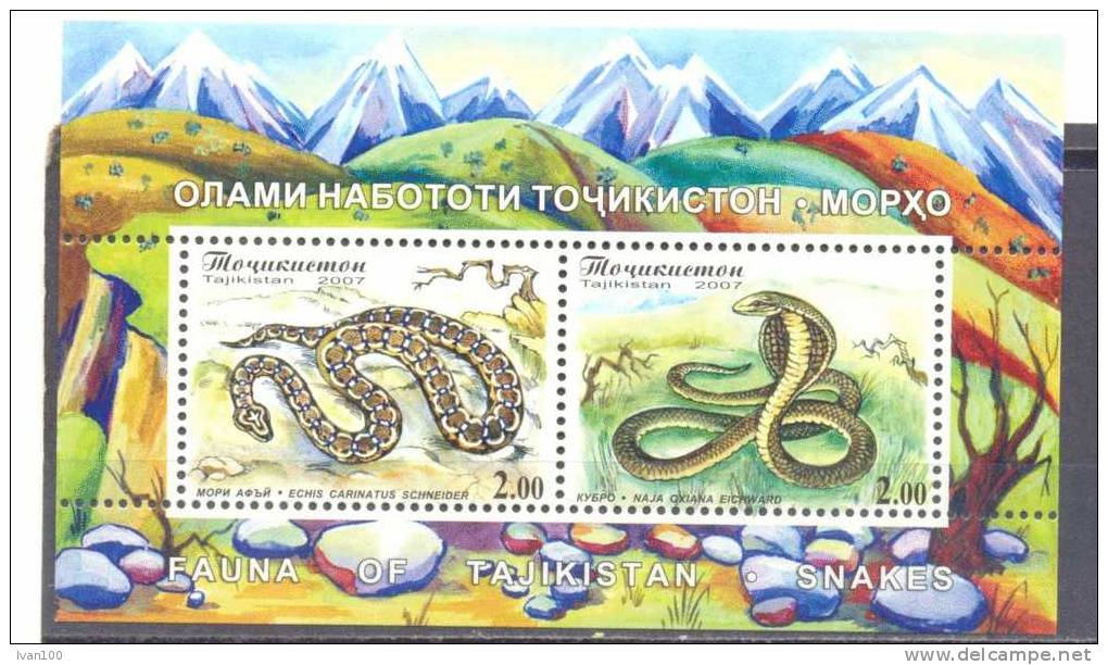 2007. Tajikistan, Snakes,  S/s, Mint/** - Tadzjikistan