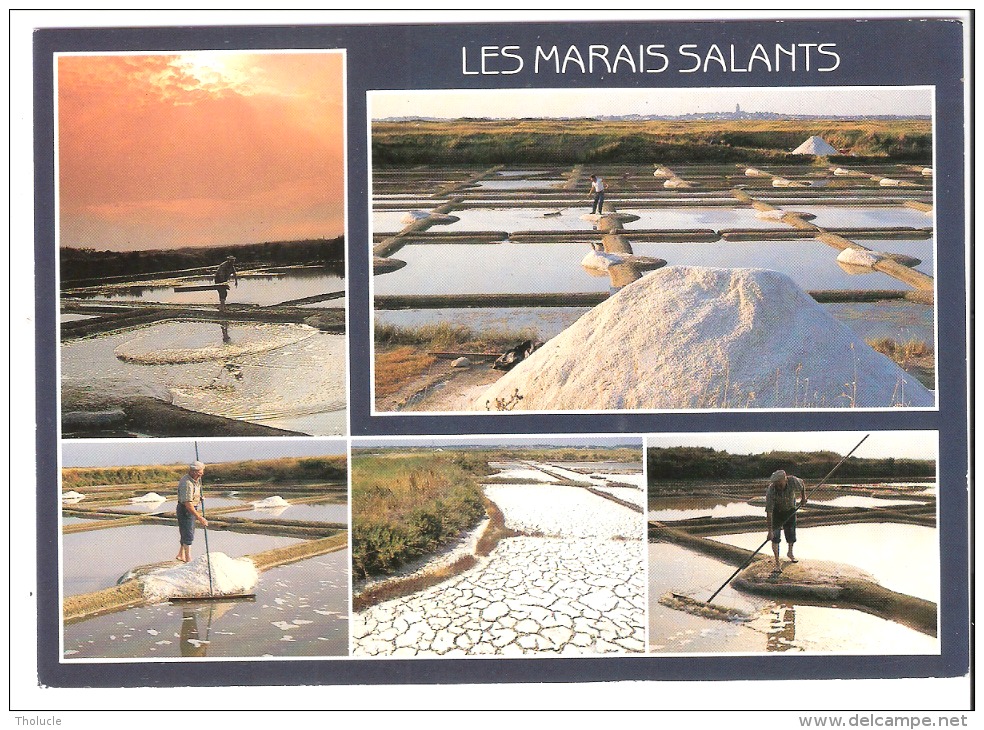 Vignette D\´affranchissement-Oiseaux De Jubert-avec Flamme De Le Pouliguen 1996-carte Postale -les Marais Salants 3 Scan - 1990 « Oiseaux De Jubert »