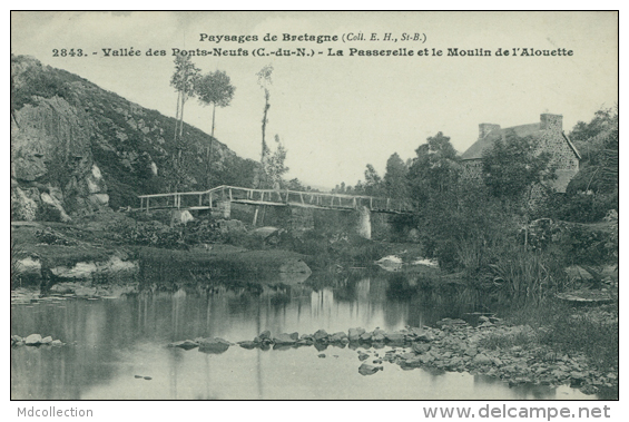 22 MORIEUX / La Passerelle Et Le Moulin De L'Alouette / - Morieux