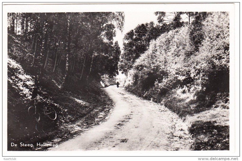 De Steeg , Holleweg  -  (Gelderland - Holland/Nederland) - Rheden