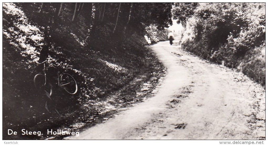 De Steeg , Holleweg  -  (Gelderland - Holland/Nederland) - Rheden