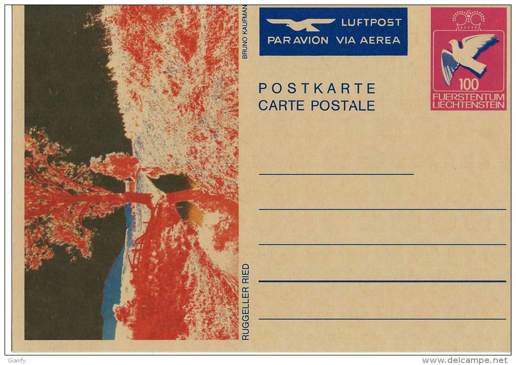 INTERO LIECHTENSTEIN 100 LUFTPOST AEREA AIR MAIL PAR AVION - Entiers Postaux