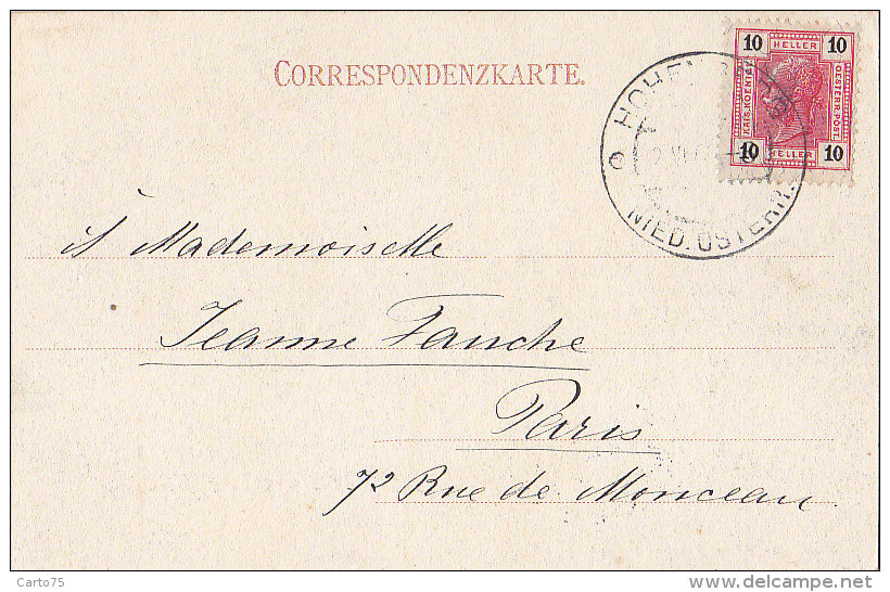 Autriche - Gruss Aus Hohenberg - Panorama - Villa Polansky - Postmarked - Lilienfeld