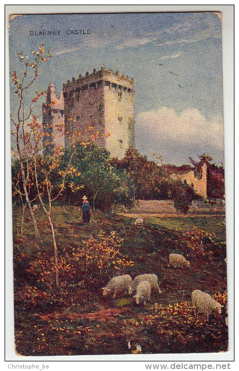 Old Postcard Blarney Castle (pk23011) - Cork