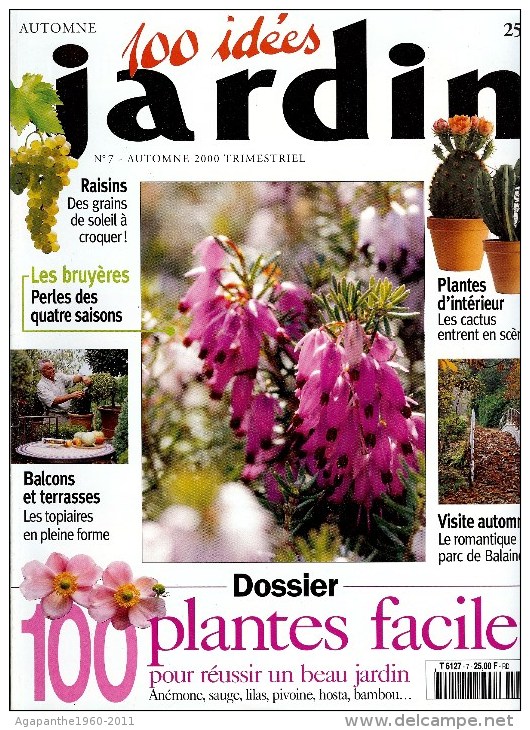 113 - REVUE TRIMESTRIELLE - 100 IDEES - JARDIN - AUTOMNE 2010 - Jardinage