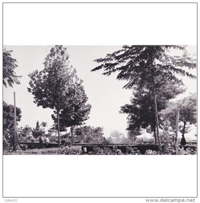 CDRLTP5413-LFTD9843.Tarjeta Postal DE CIUDAD REAL.Arboles,jardines.PARQUE CIUDAD JARDIN En TOMELLOSO - Ciudad Real