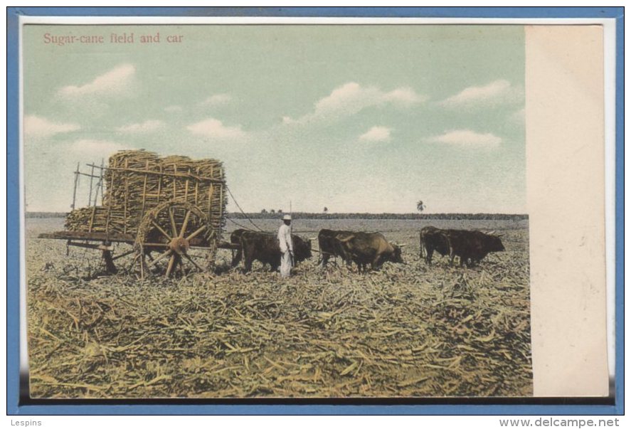 CUBA -- Sugar Cane Field And Car - Cuba