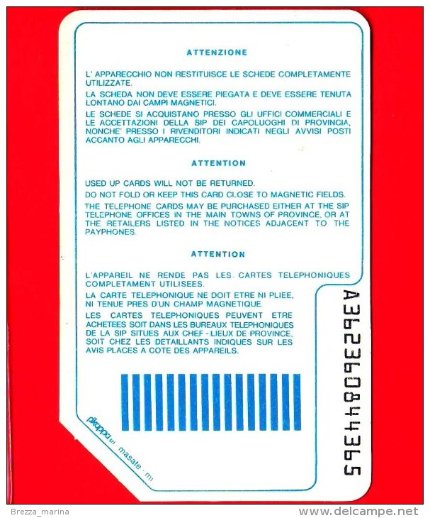 ITALIA - Usata - Scheda Telefonica - SIP - Golden P49 - C&C 1056 - Terzo Gruppo Sida - Públicas Precursores