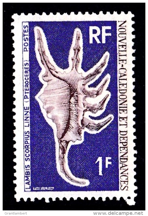 New Caledonia 1968 Sea Shells 1f MNH  SG 444 - Ungebraucht