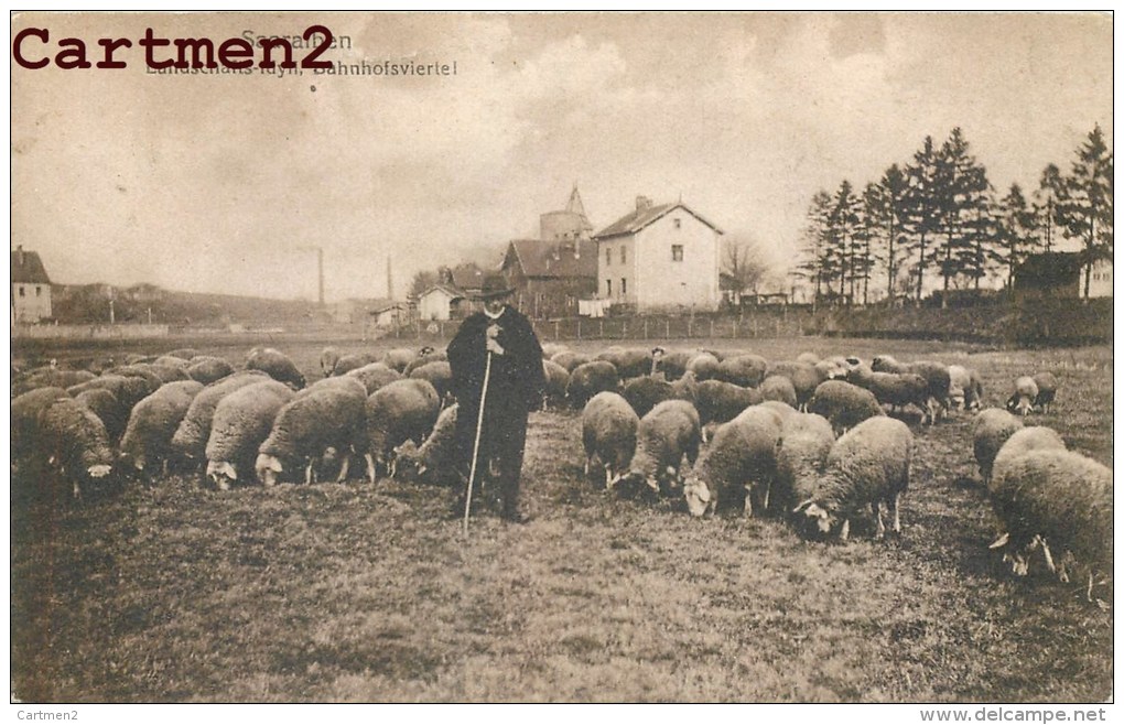 SAARALBEN SAARLBE LE BERGER ET SES MOUTONS LANDSCHAFTS-IDYLL BAHNHOFSVIERTE 57 MOSELLE - Sarralbe