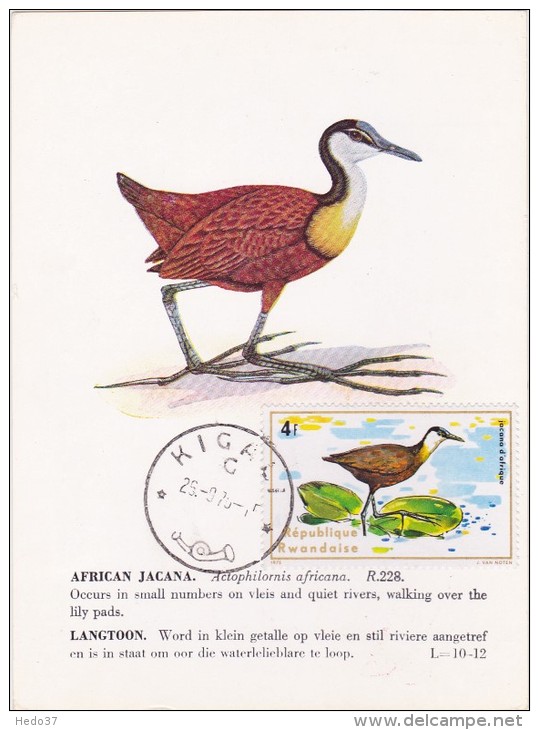 RWANDA Carte Maximum - Jacana D'Afrique - Other & Unclassified