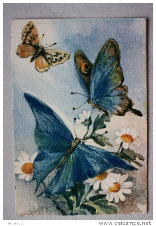 CHIOSTRI - FARFALLE  / Butterfly - Chiostri, Carlo