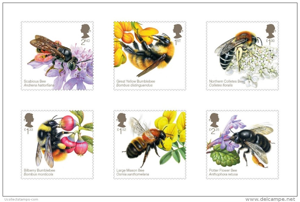 Great Britain 2015 Bees   And Flowers    Postfris/mnh/neuf - Nuovi