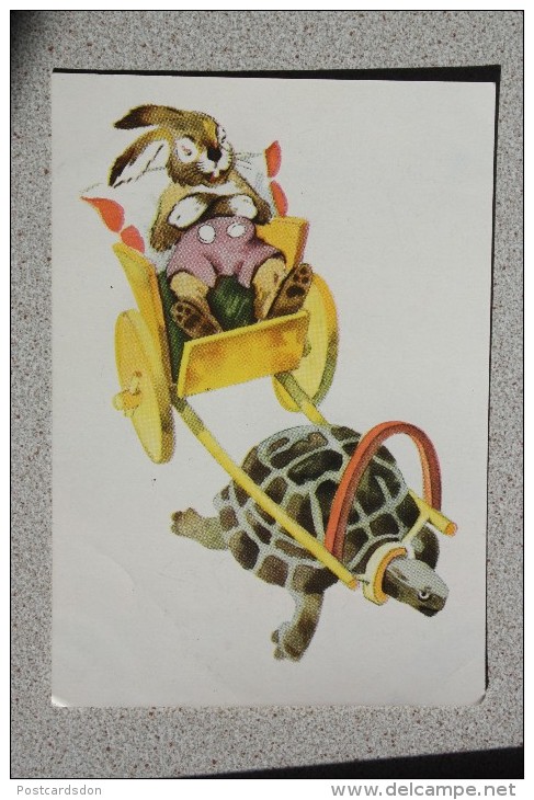 HARE RIDING TURTLE - Soviet PC - Humour - 1957 - Schildkröten