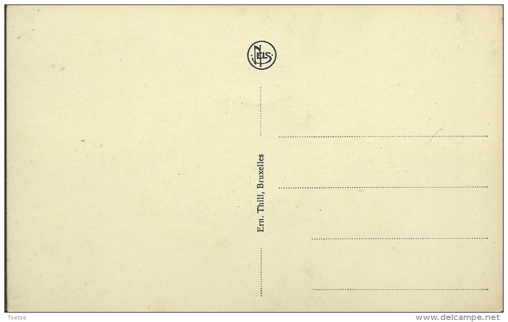 Lokeren - Luikstraat ( Verso Zien ) - Lokeren