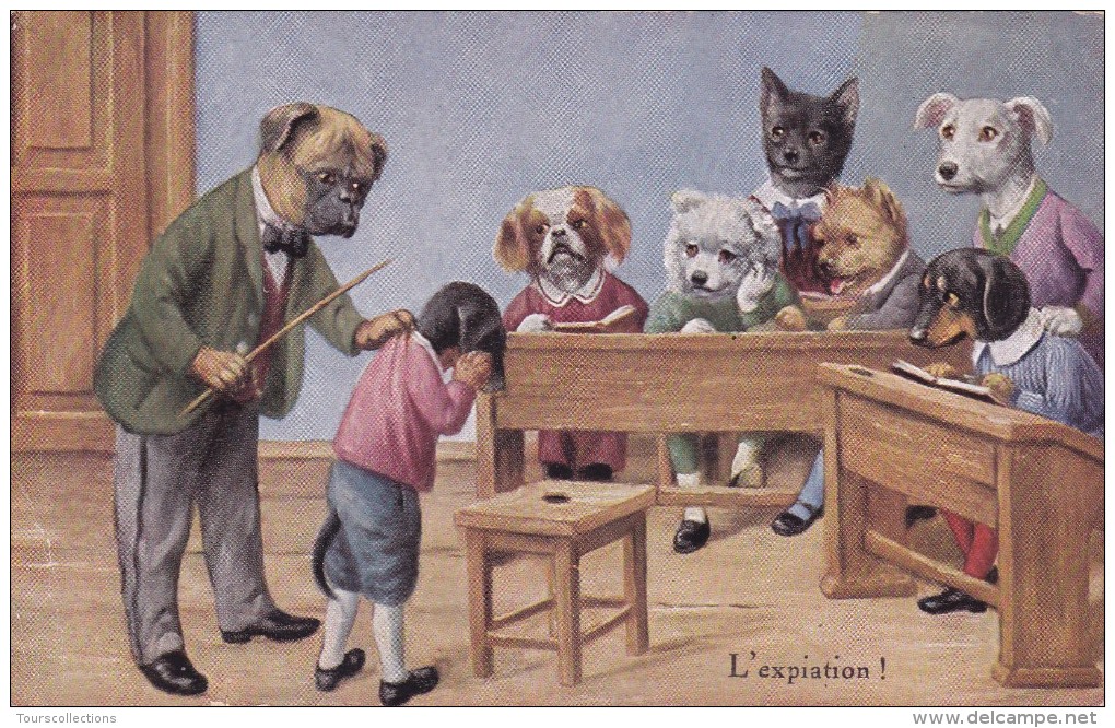 CPI Chiens Habillés Humanisés Prof Chien Bouledogue Ecole - élève Punit Sévice Punition - L'expiation ! - Animaux Habillés