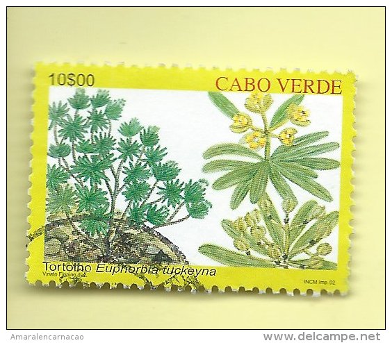 TIMBRES - STAMPS - CAPE VERDE / CAP VERT - 2002- PLANTES ENDÉMIQUES - Euphorbia Tuckeyna - TIMBRE OBLITÉRÉ - Cape Verde