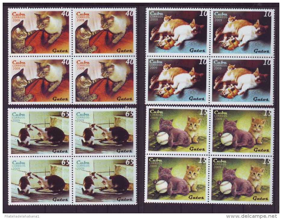 2009.16 CUBA 2009 COMPLETE SET BLOCK 4 MNH 2009 CAT FELINE. GATOS. FELINOS. - Neufs