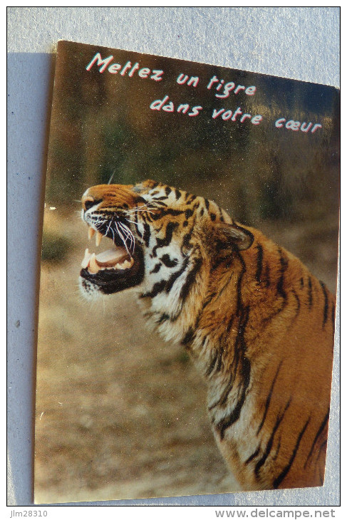 Mettez Un Tigre Dans Votre Coeur - Tigres