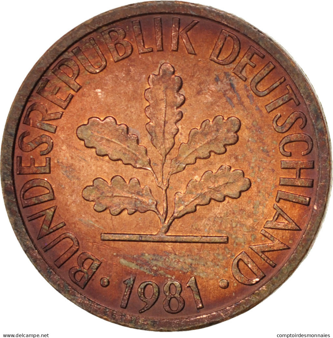 Monnaie, République Fédérale Allemande, Pfennig, 1981, Stuttgart, SPL, Copper - 1 Pfennig