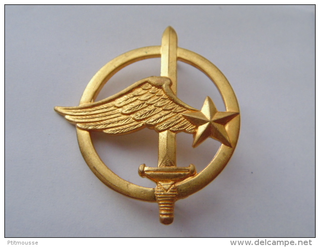 INSIGNE DE BERET COMMANDOS DE L´AIR / COINDEROUX - Luchtmacht