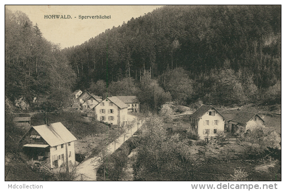 67 HOHWALD / Sperverbächel / - Hochfelden