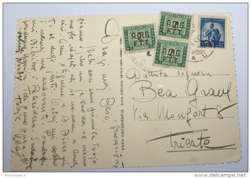 ITALIA, TRIESTE ZONA A, TRE SEGNATASSE LIRE 2 VERDE  SU CARTOLINA ILLUSTRATA - Revenue Stamps