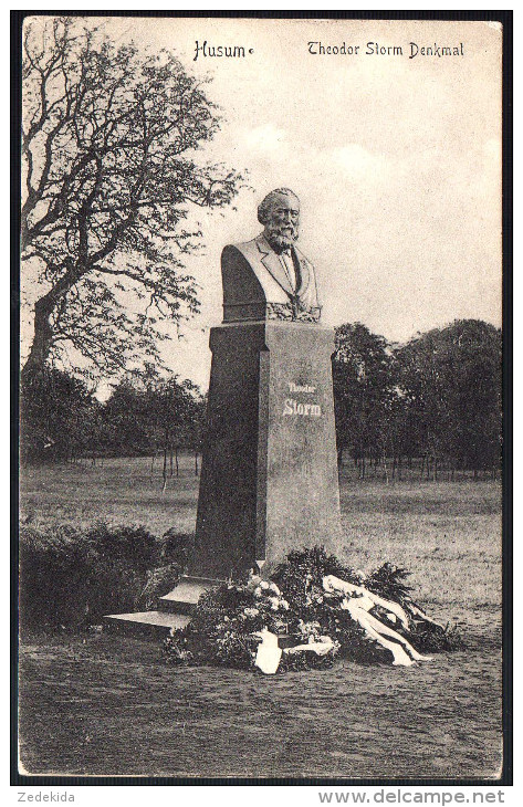 0985 - Alte Ansichtskarte - Husum Theodor Storm Denkmal - Gel 1906 - Husum