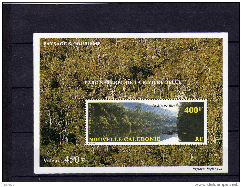 NOUVELLE CALEDONIE BLOC FEUILLET N° 12 ** LUXE - Hojas Y Bloques