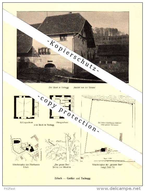 Photographien / Ansichten ,1917, Erlach - Cerlier Und Tschugg , Neuenstadt / Neuveville , Prospekt , Fotos , Architektur - Cerlier