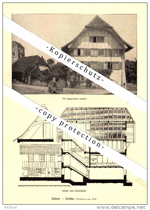 Photographien / Ansichten ,1917, Erlach - Cerlier , Prospekt , Fotos , Architektur !!! - Cerlier