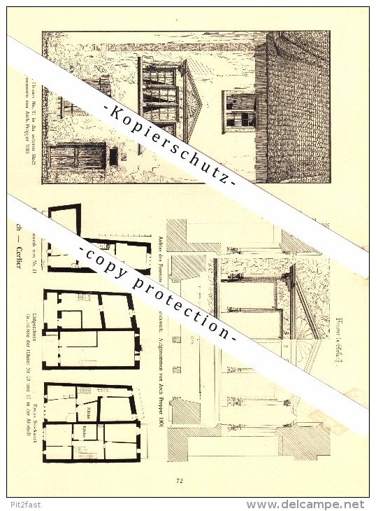 Photographien / Ansichten , 1917 , Erlach - Cerlier , Prospekt , Fotos , Architektur !!! - Cerlier