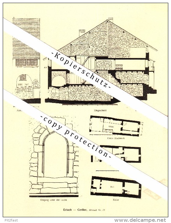 Photographien / Ansichten , 1917 , Erlach - Cerlier , Prospekt , Fotos , Architektur !!! - Cerlier