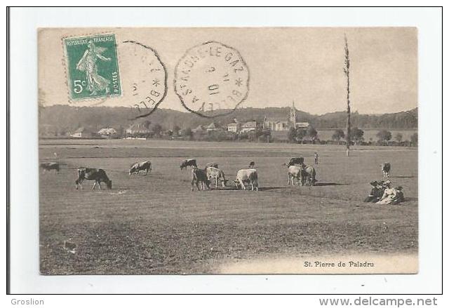 ST PIERRE DE PALADRU (VACHES BROUTANT) 1910 - Paladru