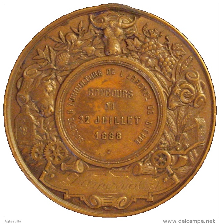 FRANCE. MÉDAILLE SOCIETÉ D´AGRICULTURE DE DIEPPE. 1888. FRANCIA - Royal / Of Nobility