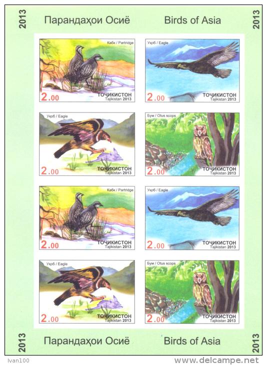 2013. Tajikistan, Birds Of Asia, Sheetlet Imperforated, Mint/** - Tadjikistan