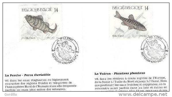 FDc Sur Feuillet Poste Belge Perche Vairon Bouvière Epinoche. - 1991-2000