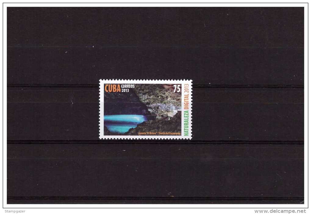 2013 Digital Nature  1 Value  MNH - Neufs