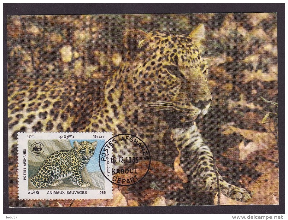 Leopard - Kaboul - Maximumkarten