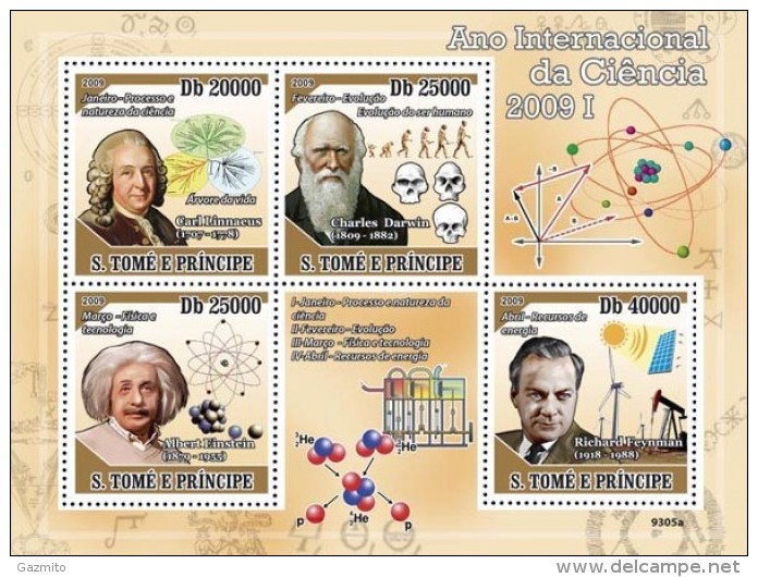 S. Tomè 2009, Intern. Year Of The Science, Einstein, Human Evolution, Alternative Energy, 4val In BF - Albert Einstein