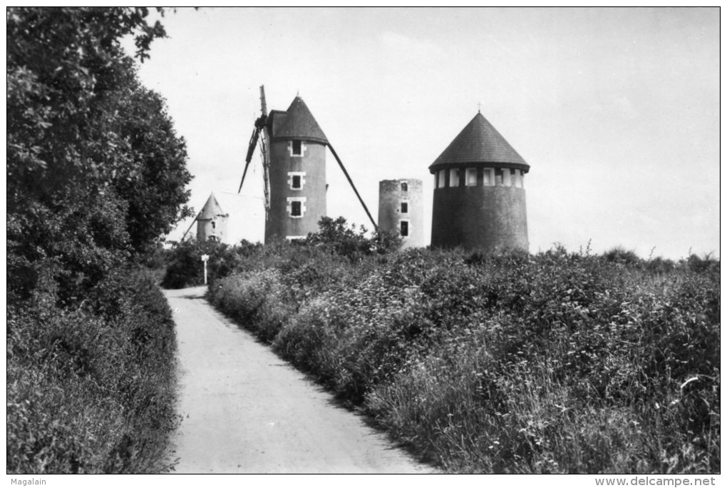 Mouilleron En Pareds : Propriétaire Du Maréchal De Lattre De Tassigny - Mouilleron En Pareds