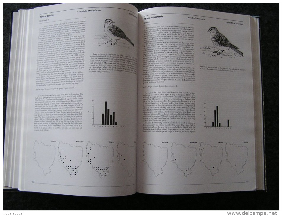 ATLAS OF THE BIRDS OF HUESCA Spanish Pyrénées Espagne Spain Espana Oiseau Bird Aves Ornithologie Ornithologue