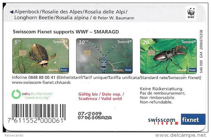 Swisscom: Alpenbock, Rosalie Des Alpes, Rosalie Delle Alpi, Longhorn Beetle, Rosalia Alpina - Other & Unclassified