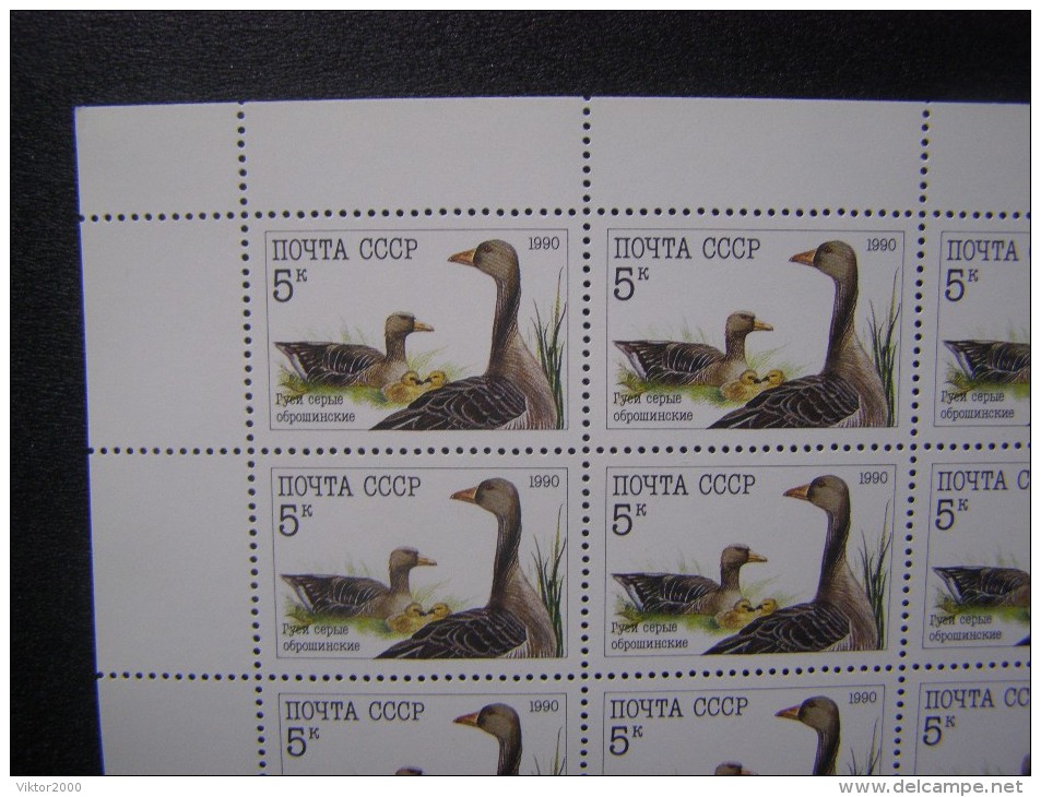 RUSSIA 1990 MNH (**)YVERT 5764 Les Oies.la Feuille De 36 Timbres/geese.sheet Of 36 Stamps - Volledige Vellen