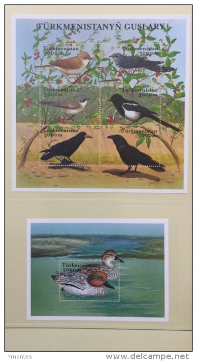 Birds Stamps (12 Valúes + 2S/S ) - Turkménistan