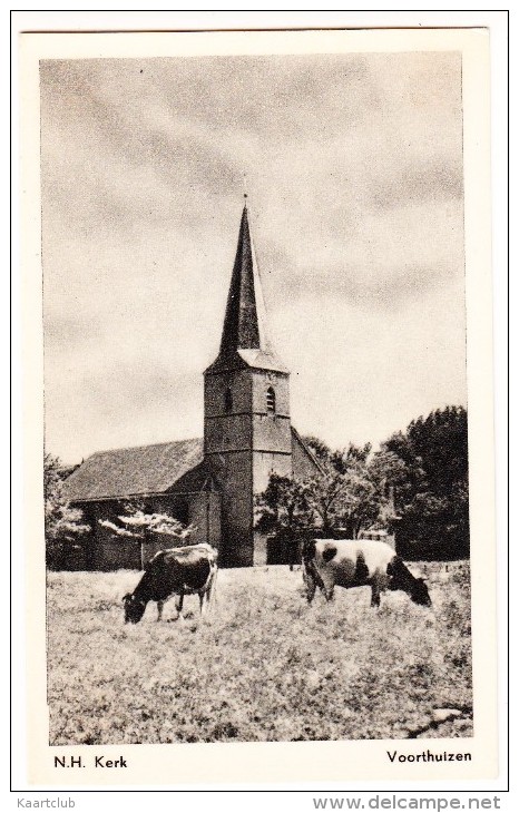 Voorthuizen: N.H. Kerk  - (Grazende Koeien)  - Gelderland - Nederland - Barneveld