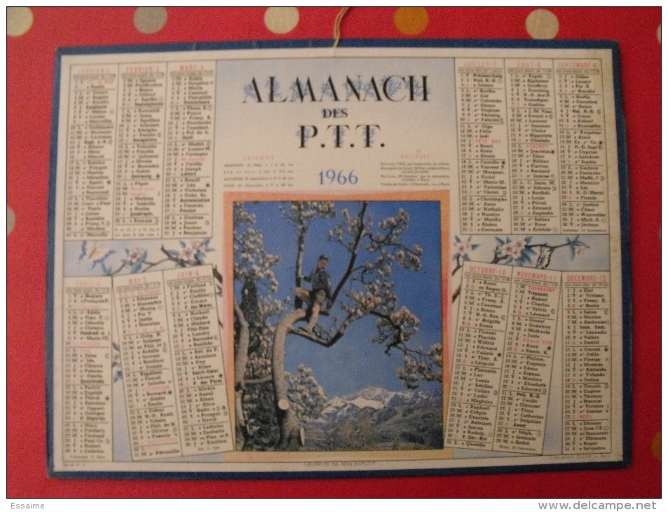 Almanach Des PTT. Mayenne Laval. Calendrier Poste, Postes Télégraphes.1966. Grimpé Dans L'arbre - Formato Grande : 1961-70