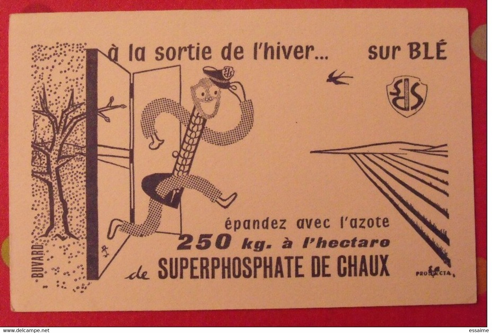 Buvard Superphosphate De Chaux. Azote Blé. Vers 1950 - Landwirtschaft