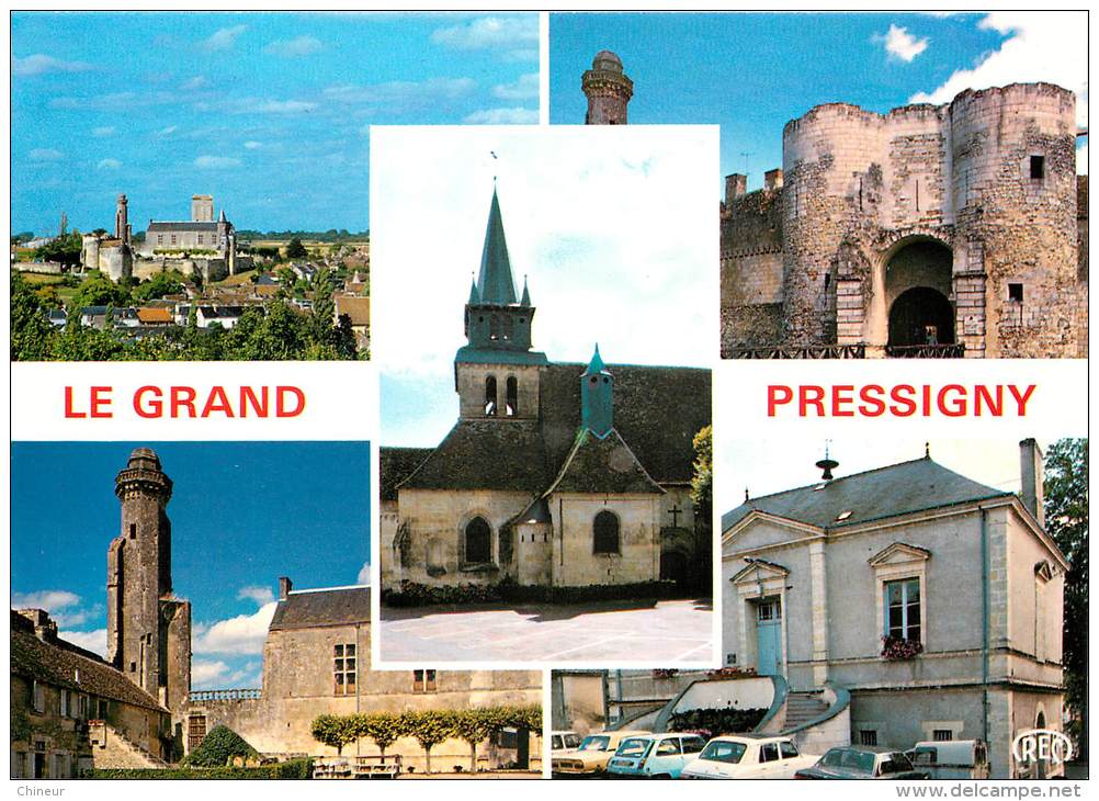 LE GRAND PRESSIGNY CARTE MULTIVUES - Le Grand-Pressigny