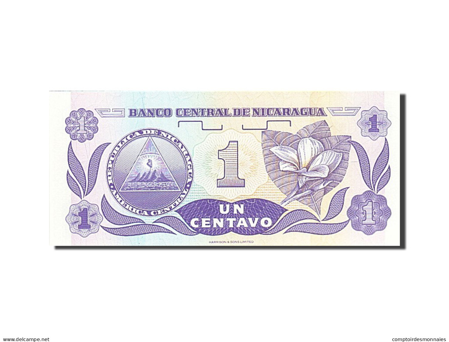 Billet, Nicaragua, 1 Centavo, 1991-1992, Undated (1991), KM:167, NEUF - Nicaragua